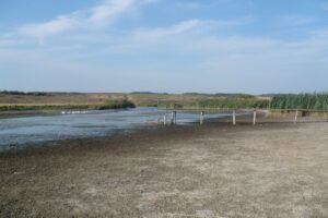 Осушення водойм для розширення сільськогосподарських угідь