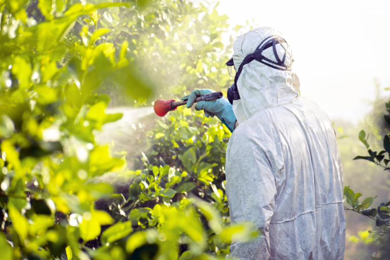 Використання пестицидів в Україні